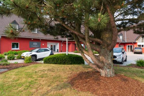 a tree in a yard in front of a building at L'Hôtel et Restaurant du Golf de Clervaux in Eselborn