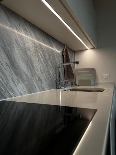 a kitchen with a sink and a counter at Business Apartment Baden Central Station in Baden