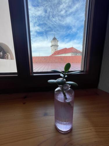 a vase with a plant in front of a window at Alipoint Apartments in Spišské Podhradie