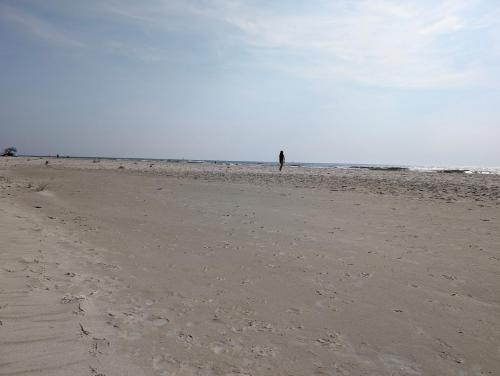 a person standing on a sandy beach near the ocean at Glemminge Bed & Bastu in Glemminge