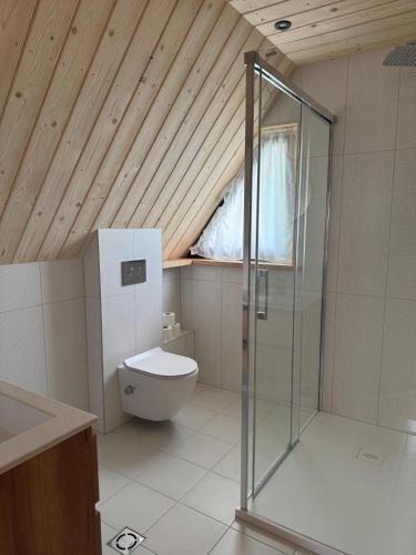 a bathroom with a glass shower and a toilet at Stylowa Chata in Zakopane