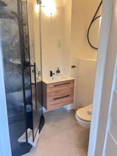 a bathroom with a shower and a sink and a toilet at Willa Dolce Vita in Szczyrk