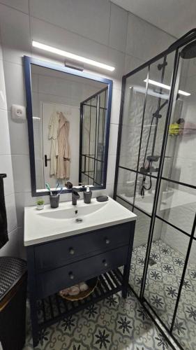 une salle de bain avec un lavabo et une douche dans l'établissement Appartement Reims centre, à Reims