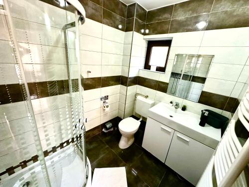 a bathroom with a toilet and a sink and a shower at Casa David Comarnic in Comarnic