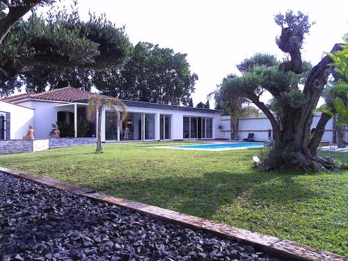 une maison avec une cour et un arbre en face de celle-ci dans l'établissement La Casa del Sol, à Villelongue-dels-Monts
