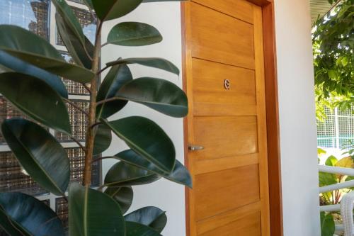 a wooden door with a plant next to it at Stela Garden Villas in Compostela