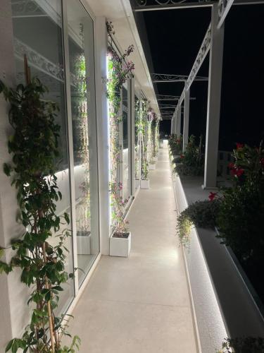 a hallway with potted plants on the side of a building at Minori Palace in Minori