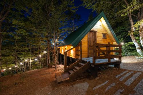 a small wooden cabin in the woods at night at Mountain Tree House Komovi-Radunovic 