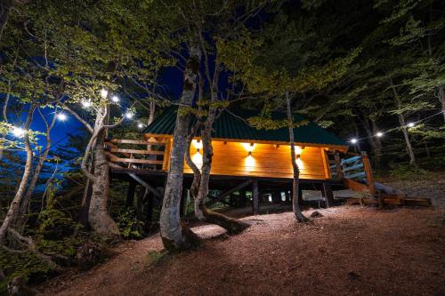 a cabin in the woods at night with lights at Mountain Tree House Komovi-Radunovic 