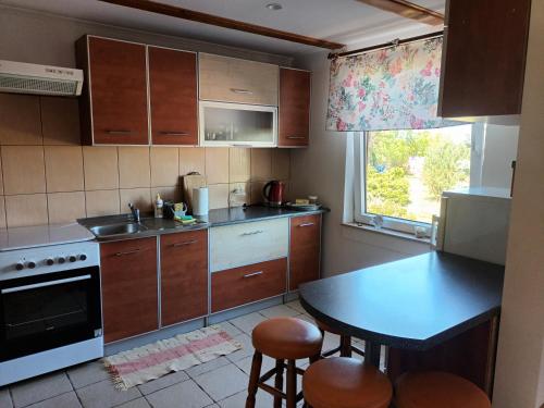 a small kitchen with a table and a sink at Bocianie Siedlisko in Janowo