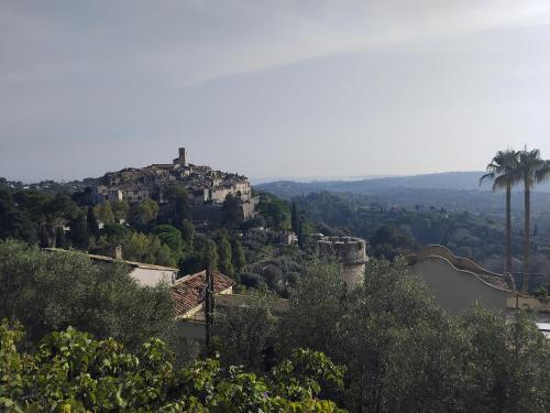 une ville au sommet d'une colline avec un palmier dans l'établissement Maison authentique, à Nice