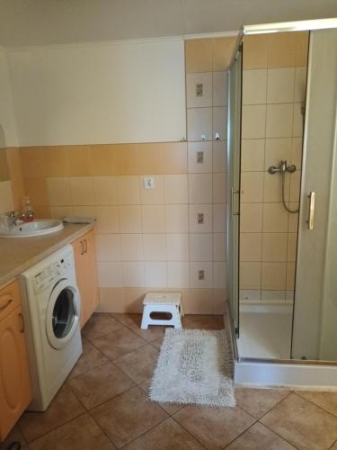 a bathroom with a shower and a washing machine at Bocianie Siedlisko in Janowo