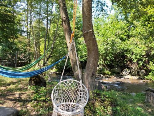 a hammock tied to a tree next to a river at Forest-House in Praid