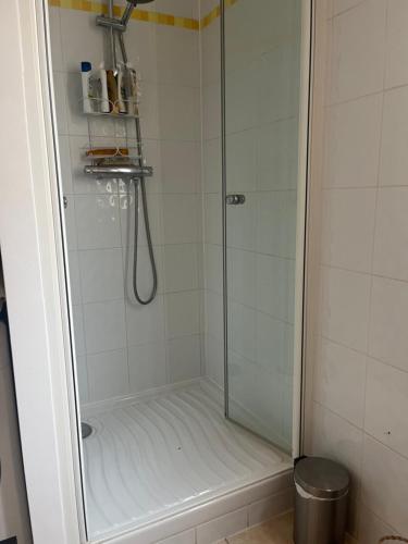 une douche avec une porte vitrée dans une salle de bain dans l'établissement Charming apartment Eiffel Tour/Invalides, à Paris