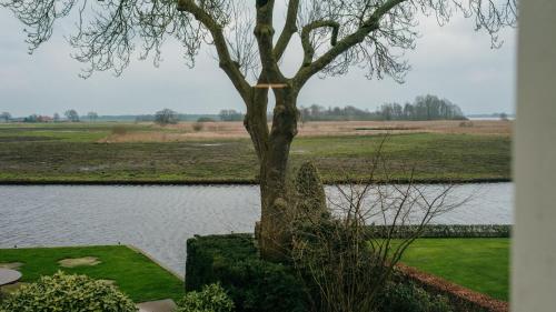 Paisaje cerca de este hotel
