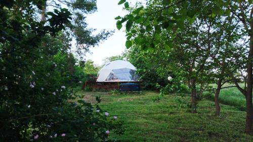 Fotografie z fotogalerie ubytování Stargazer Dome at Lake Balaton v destinaci Szólád