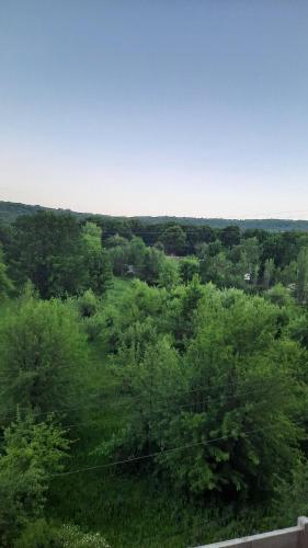 an overhead view of a green field with trees at Tsaxkadzor, Kechi House ap 26 in Tsaghkadzor