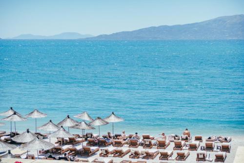 a group of chairs and umbrellas on a beach at Elar Hotel in Sarandë