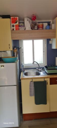 a small kitchen with a sink and a refrigerator at charmant mobil home de patricia et bruno in Sainte-Croix-de-Verdon