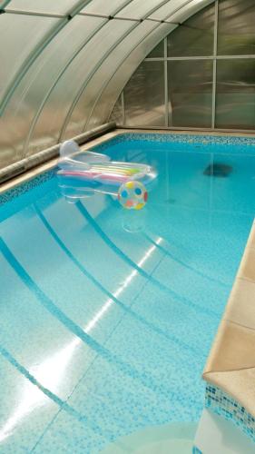 a toy plane sitting in a swimming pool at Entire 2nd floor of Villa with 3bedroom with large garden,BBQ,pool,sauna,free parking in Popovičky