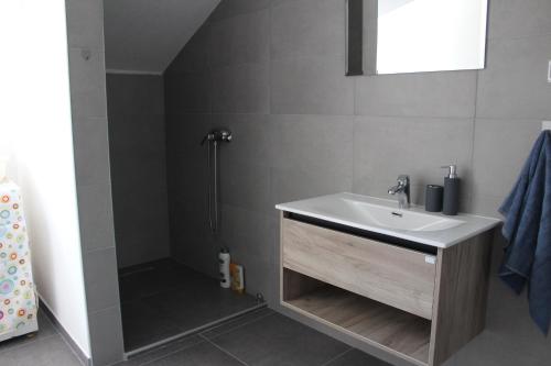 a bathroom with a sink and a shower at Villa La Vida in Sarajevo