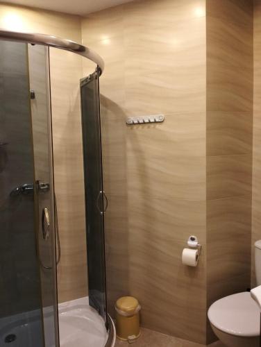 a bathroom with a shower and a toilet at Willa Wiselka in Wisełka