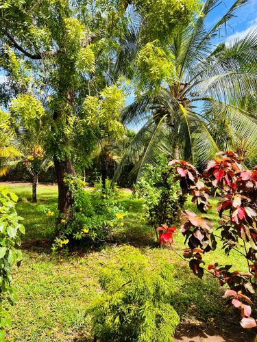 Taman di luar Rayoh Villa Sultan Kikambala