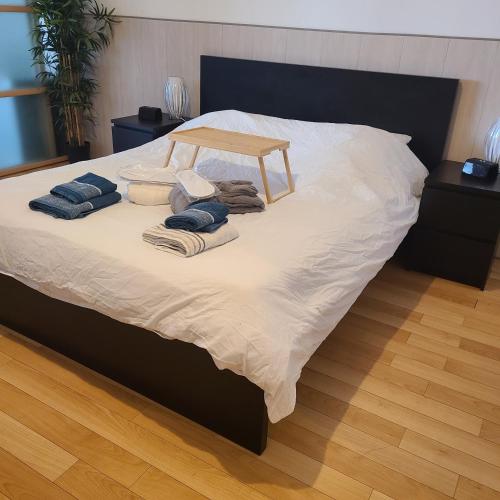 Loft de 130 m2 avec spa et billard au cœur de BREST