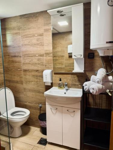 a small bathroom with a toilet and a sink at Apartmani i kuće Moje selo Šćepanović in Kolašin