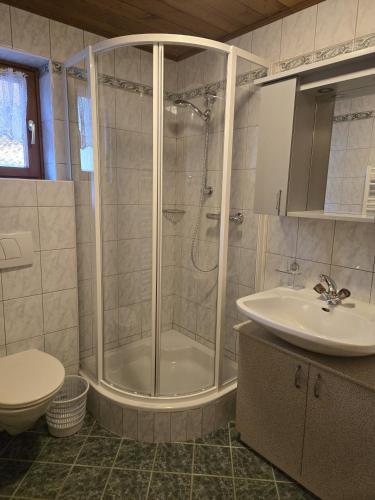 un baño con ducha y lavabo en Orterhof, en Obertilliach
