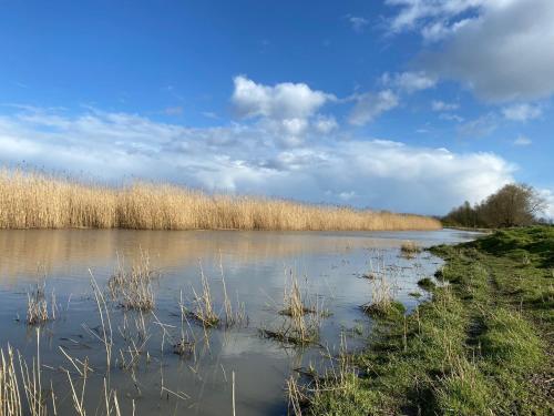 a body of water with grass and weeds in it at Ferienwohnung Rehkitz in Drochtersen