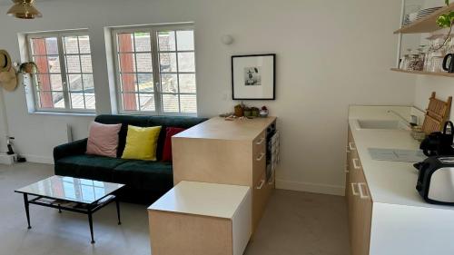 un salon avec des cartons et un canapé vert dans l'établissement Studio Dizy, à Villers-sur-Mer