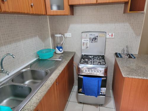 Kuchyň nebo kuchyňský kout v ubytování Cozy Apartment