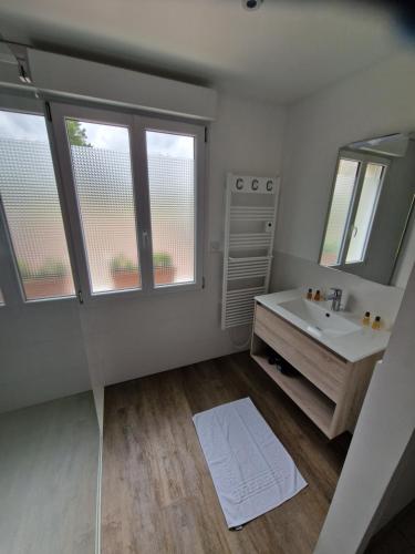 une salle de bain avec un lavabo et un miroir dans l'établissement Grande maison de vacances Les Champions, à Menetou-Râtel