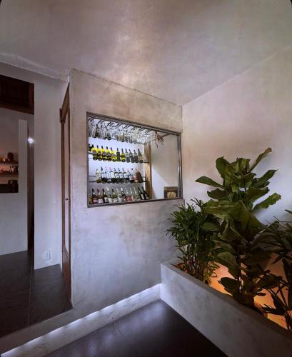 a room with a wall with a mirror and a plant at IGUANA Villa COSTA LATINA IWAI BEACH イグアナヴィラ in Wada