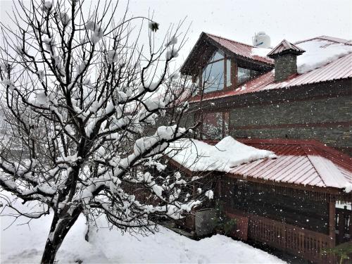 a snow covered tree in front of a house at Shivadya - A Luxury Boutique Experience in Manāli