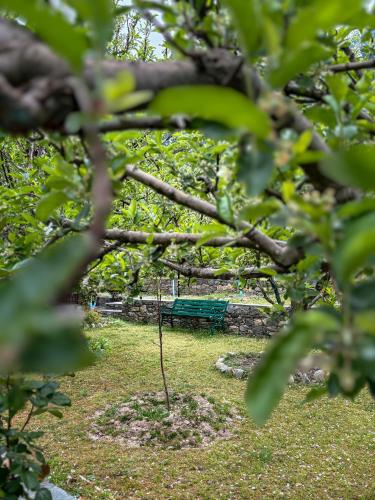 a green park bench sitting under a tree at Shivadya - A Luxury Boutique Experience in Manāli