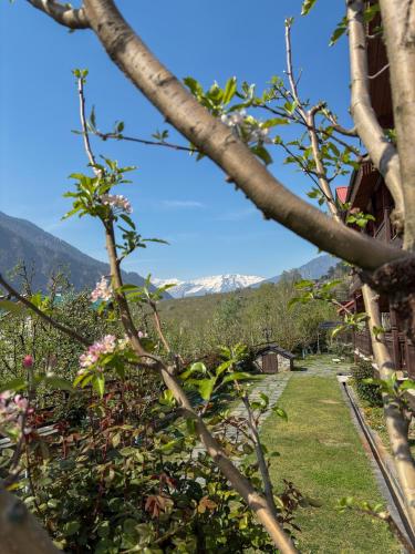 a view from the garden of a house with mountains in the background at Shivadya - A Luxury Boutique Experience in Manāli