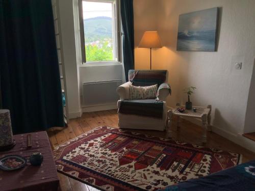 a living room with a chair and a rug at Bed and Breakfast in Gotein-Libarrenx