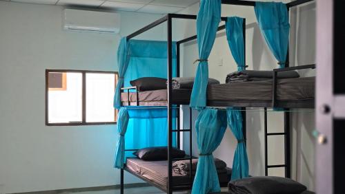 Palanda nebo palandy na pokoji v ubytování One Decision Hostel