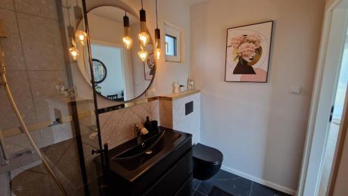 a bathroom with a sink and a mirror at Maxim Domki nad Jeziorem 