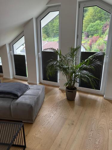 Χώρος καθιστικού στο Luxus-Apartment Sigmaringen