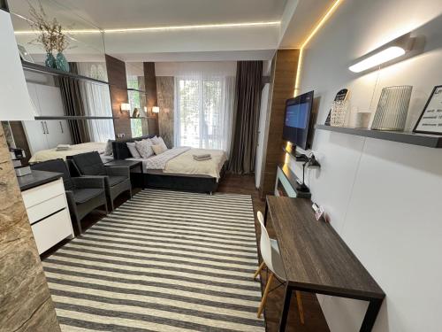 Luxury Studio in the Center