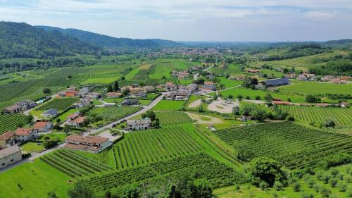 an aerial view of a small village in a vineyard at L’Oro di Nonna Adele in Udine
