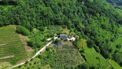 an aerial view of a house in the middle of a forest at L’Oro di Nonna Adele in Udine