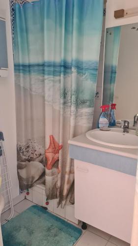 une salle de bain avec un lavabo et un rideau de douche dans l'établissement T2 lumineux plage et piscine, à Frontignan