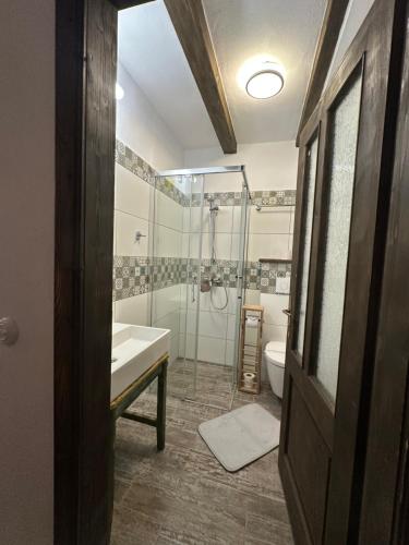 a bathroom with a shower and a sink and a toilet at Castle View Saschiz - Traditional Guesthouse in Saschiz