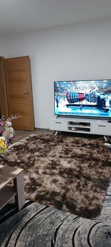a living room with a flat screen tv and a brown rug at Vila Hakim in Ilidza