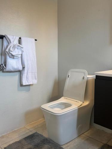 a bathroom with a white toilet in a room at Budget Apartment Near New Kingston in Kingston