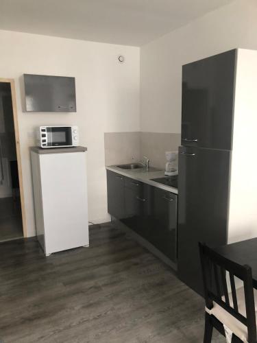 une cuisine avec un évier et un micro-ondes dans l'établissement apt de 20m2 proche plage, à Berck-sur-Mer